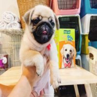 หนุ่มน้อยพร้อมย้ายบ้าน