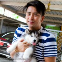 Allbest ไซบีเรียนฮัสกี้เราคัดเลือกสิ่งที่ดีที่สุดเสมอ และไม่เคยคิดหยุดพัฒนา เน้น...