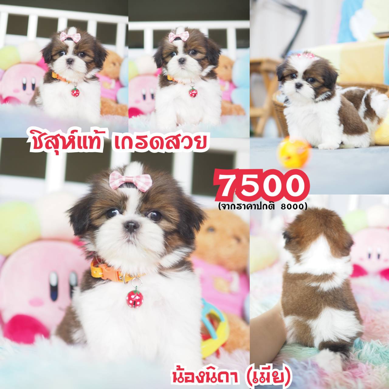 ❤️กิ๊ฟซ่า มีแต่สวยๆ