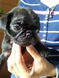 น้องปั๊กน่ารัก น่ารักค่ะ