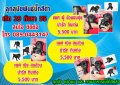 ขาย ปั๊ก สีดำ เพศผู้1 เพศ เมีย 2