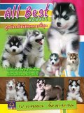 ไซบีเรียน เกรดคุณภาพ ต้องall best kennel มีหลายสไตล์ให้เลือก