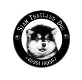  SIAM THAILAND DOG จำหน่ายสุนัขทั้งในประเทศและนำเข้าจากต่างประเทศ (รับบัตรเครคิด...