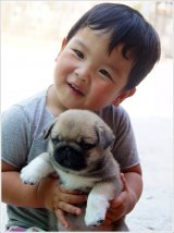 ขายปั๊กสวยๆ ลูกไทยแชมป์ TH.CH.FELLOW'S FAIR FEATURES 