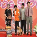 -- พ่อพันธุ์ เฟรนซ์บลูด็อกไทยแชมป์ Frenchbulldog TH.CH. หลายสี รับผสม เชียงใหม่ด...