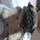 พร้อมย้ายบ้านวัคซีนสองเข็ม