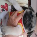 พร้อมย้ายบ้านวัคซีนสองเข็ม