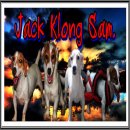 Baan Klong Sam Jack Russell Terrier Kennel จำหน่ายลูกสุนัขแจ็ครัสเซล และรับผสมพั...