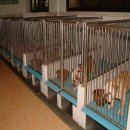 ***ขาย คอกสแตนเลส หรู อลังการ เป็นสแตนเลสขนาดใหญ่ เกรดดีที่สุด