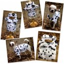 เสื้อสุนัขและแมวลายเท้าลายกระดูกผ้าดี สีขาวไม่หนาไม่บางจนเกินไป มีไซส์1,2 ราคา15...