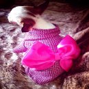 คอลเลคชั่นหน้าหนาวมาแล้ว!!!  ชุดกิโมโนน้องหมาน้องแมวผ้าหนาเป็นผ้ากระสอบอย่างดีกั...