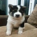 ลูกบางแก้ว สวยๆ น่ารักๆ