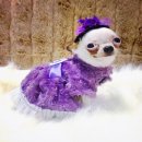 ชุดเดรสกระโปรงPurple Flower dress ของจริงน่ารักมากๆผ้าหนานุ่มน่าสัมผัส ใส่แล้วเร...