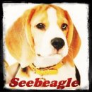 เจ้ารถถัง(เมืองขุนแผน) พ่อพันธุ์ BEAGLE ค่าตัว 1200