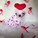 ต้อนรับวาเลนไทน์ SALE กันไปเลยจ้า  ถูกสุดๆผลิตแค่ช่วงวาเลนไทน์มีไซส์0-5 ราคา100-...