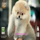 น้องLalayเพศเมียสวยมาก ทรงดี สายเลือดแน่น ๆ ราคาไม่แพงครับ