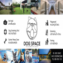  Dog Space สระว่ายน้ำ ฝากเลี้ยงสุนัข