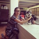 ไซบีเรียนเกรดไฮเอน ไซบีเรียนเน้นคุณภาพ คุณต้องมาAllbest kennel