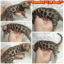 ***ปิดการขาย***ติดจองหมดแล้วคับ**ขอบคุณพื้นที่ดีๆๆด้วยคับ**