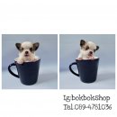 ชิวาวาขนยาวไซส์ tcup จิ๋ว