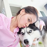 ศูนย์รวมไซบีเรียนฮัสกี้ เกรดคุณภาพที่ใหญ่ที่สุดในไทย  Allbest kennel