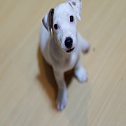 แจ๊ครัสเซลแท้100%