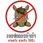 ขายลููกบูลลีลายเสือ