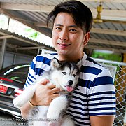 หยุดเสี่ยงไซบีเรียนไม่มีคุณภาพ ไซบีเรียนซื้อมาแล้วตายในไม่กี่วันตาย 
