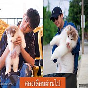 ฟาร์มไซบีเรียนที่ดีและใหญ่ที่สุดในไทยALL BEST KENNEL ไซบีเรียนเกรด Hi-end 