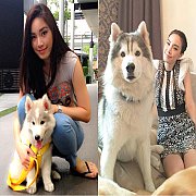 หากอยากได้ไซบีเรียน ที่เน้นคุณภาพเกรดHi-end ต้อง Allbest เท่านั้น!!