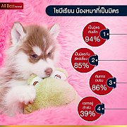 การเลือกซื้อไซบีเรียนหากคุณเน้นคุณภาพ คุณต้องมาAllbest kennel เท่านั้น