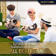 ซื้อไซบีเรียนซื้อที่ไหนก็ซื้อได้" แต่หากอยากได้เกรดคุณภาพคุณต้องมา Allbest...