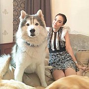 ศูนย์รวมไซบีเรียนเกรดไฮเอนใหญ่ที่สุดในไทย ไซบีเรียนสายพันธุ์ดี allbestk.com