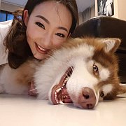 Allbestk.com ฟาร์มไซบีเรียนคุณภาพอันดับ1ในไทย ที่มีสุนัขให้เลือกมากที่สุด