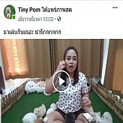 ไลฟ์สด ปอมเมอเรเนี่ยนหลายสีหลายไซส์ ฝากติดตามค่ะ 