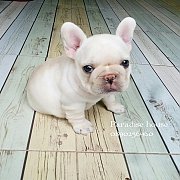 ลูกของ(ปีโป้)ย้ายบ้านแล้วนะครับ 