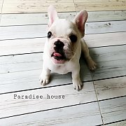 ลูกปีโป้ ปีโป้เพศเพศเมีย#น้องย้ายบ้านแล้ว#