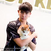 ฟาร์มไซบีเรียนไฮเอน ต้องที่Allbest