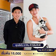 ไซบีเรียนเกรดไฮเอนพร้อมรับ บริการครบวงจรAllbest kennel