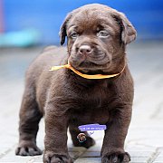 พร้อมอยู่บ้านใหม่เร็วๆๆนี้ีค่ะ