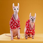 สฟริงซ์เอลฟ์เพศเมีย วัคซีนแล้วพร้อมย้ายราคา25,000บาท