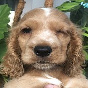 พร้อมย้ายบ้าน