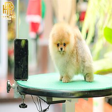 เพศผู้สีส้ม HRM-6124 ตัวเล็กๆ สเปคใครน้าา รับประกันสุขภาพ 2ปี มีใบเพ็ดดีกรีเต็มใ...