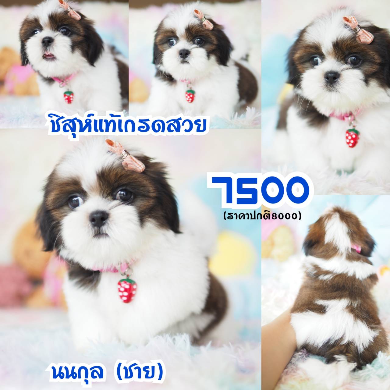 ❣️กิ๊ฟซ่า สวยและดี