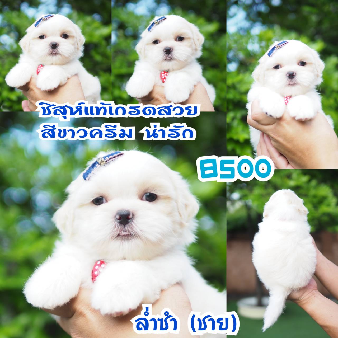 ❤️กิ๊ฟซ่า จัดโปร เกรดสวย สะพานใหม่ กทม.