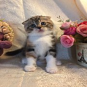 น้องย้ายบ้านแล้วค่ะ
