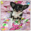 น้องยูริ สาวน้อยสีแบลคแทนหน้าสวย