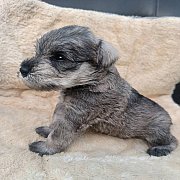 เด็กน้อย อายุ 25 วันคับ