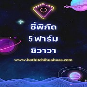 แนะนำ 5 ฟาร์มชิวาวาออนไลน์ ยอดนิยมที่สุด