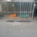 ขายกรงเหล็กขนาดใหญ่ ยาว125 กว้าง80สูง116เซน และ กรงยาว185กว้าง60 สูง116เซน 